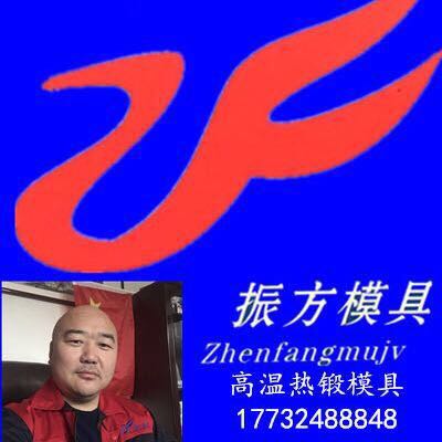 任丘市振方硬質合金模具有限公司